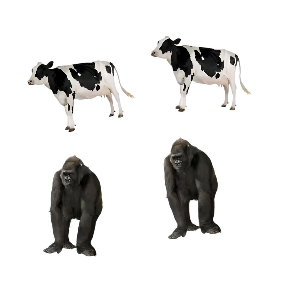 Juego De Mesa Memorice Animales Carton Dactic image number 3.0