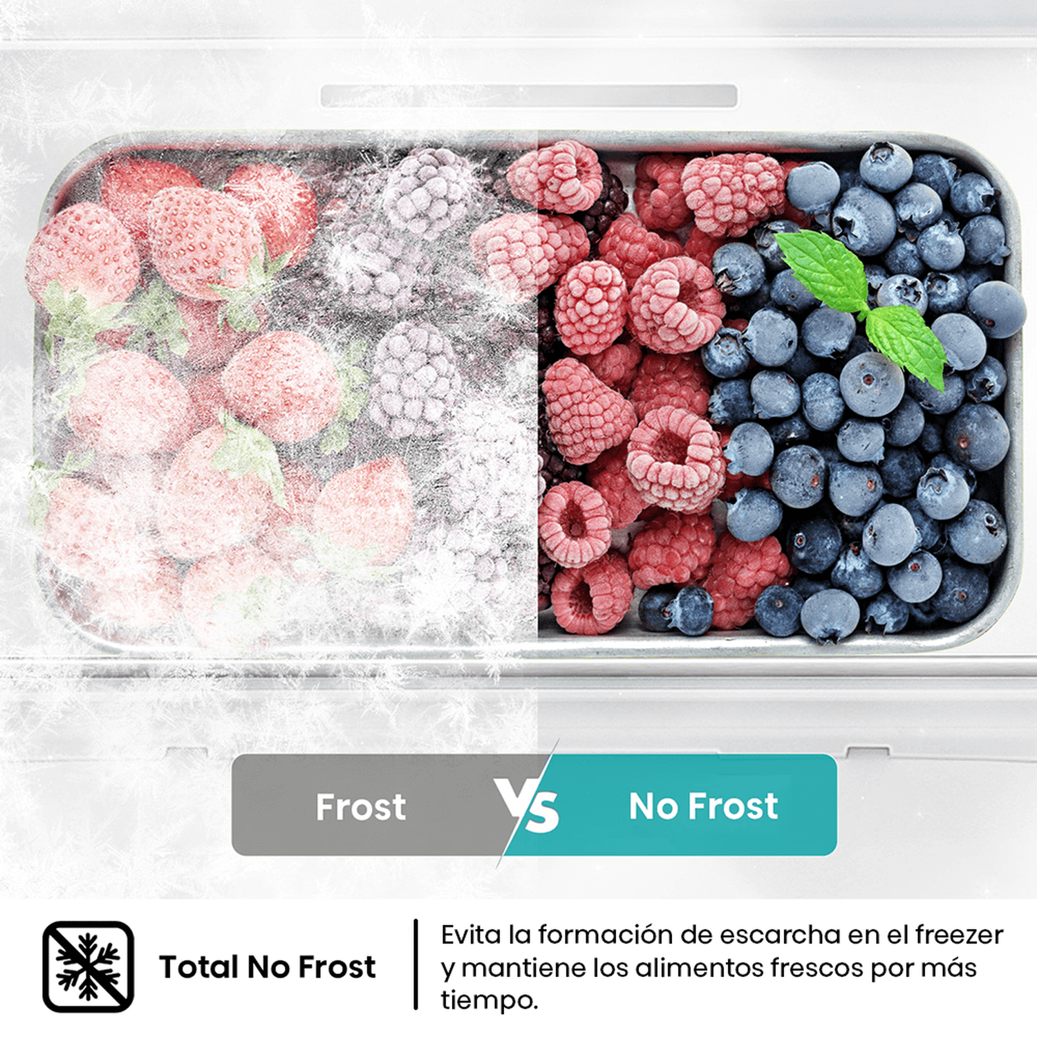 Refrigerador Side by Side Hisense RC-56WS / No Frost / 428 Litros / A+ image number 3.0