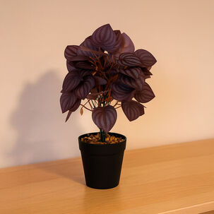 Planta Artificial Peperomia 28x9 Cm