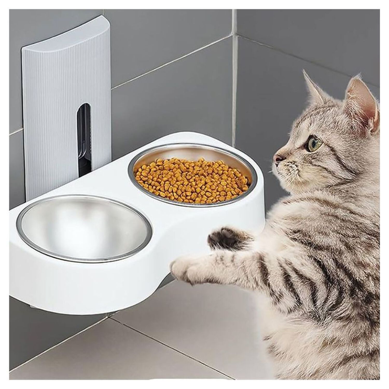 Comedero Doble De Pared Para Gatos Perros Altura Ajustable image number 2.0