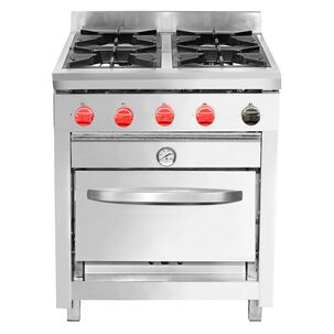 Cocina Semi Industrial Ticgas 4 Platos Horno 50x50 / Gas Licuado