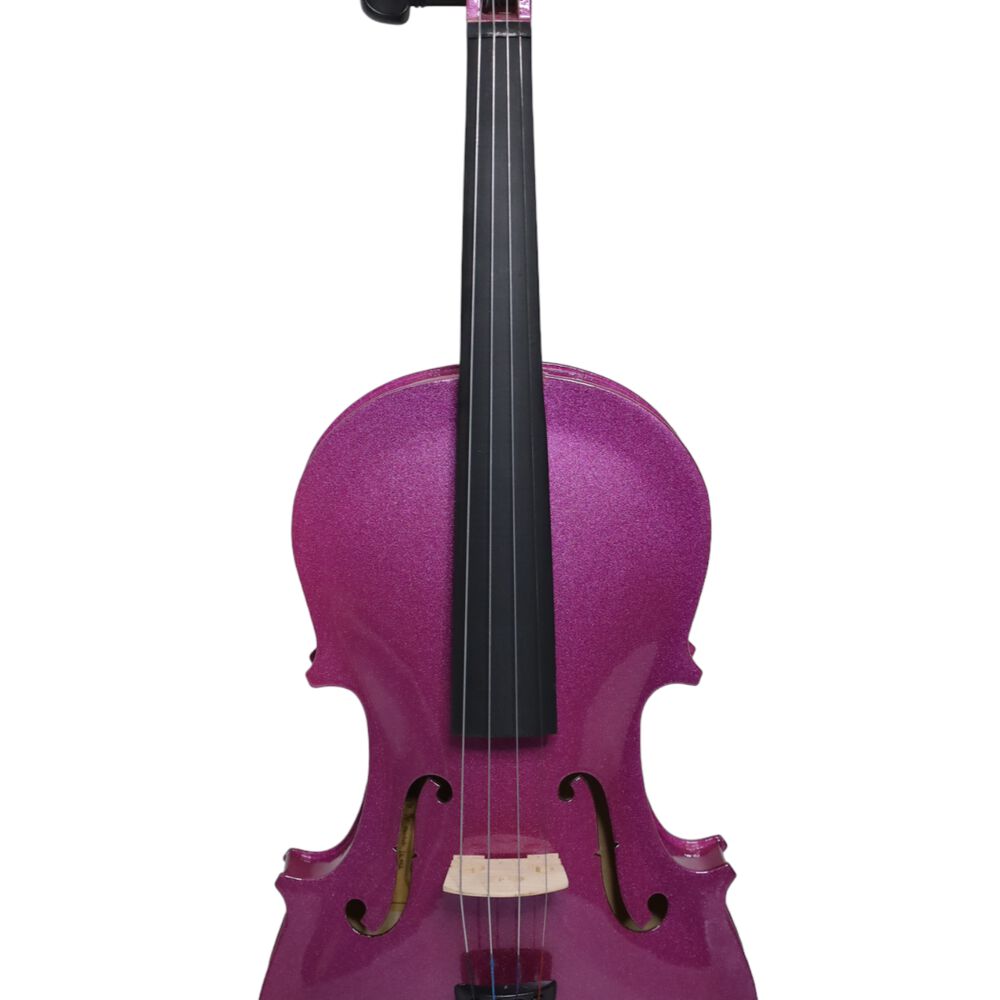 Violín Livorno Color Purpura 4/4 Liv-20pu image number 0.0