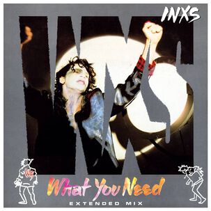 Inxs - What You Need (extended Mix) | 12" Maxi Single Usado