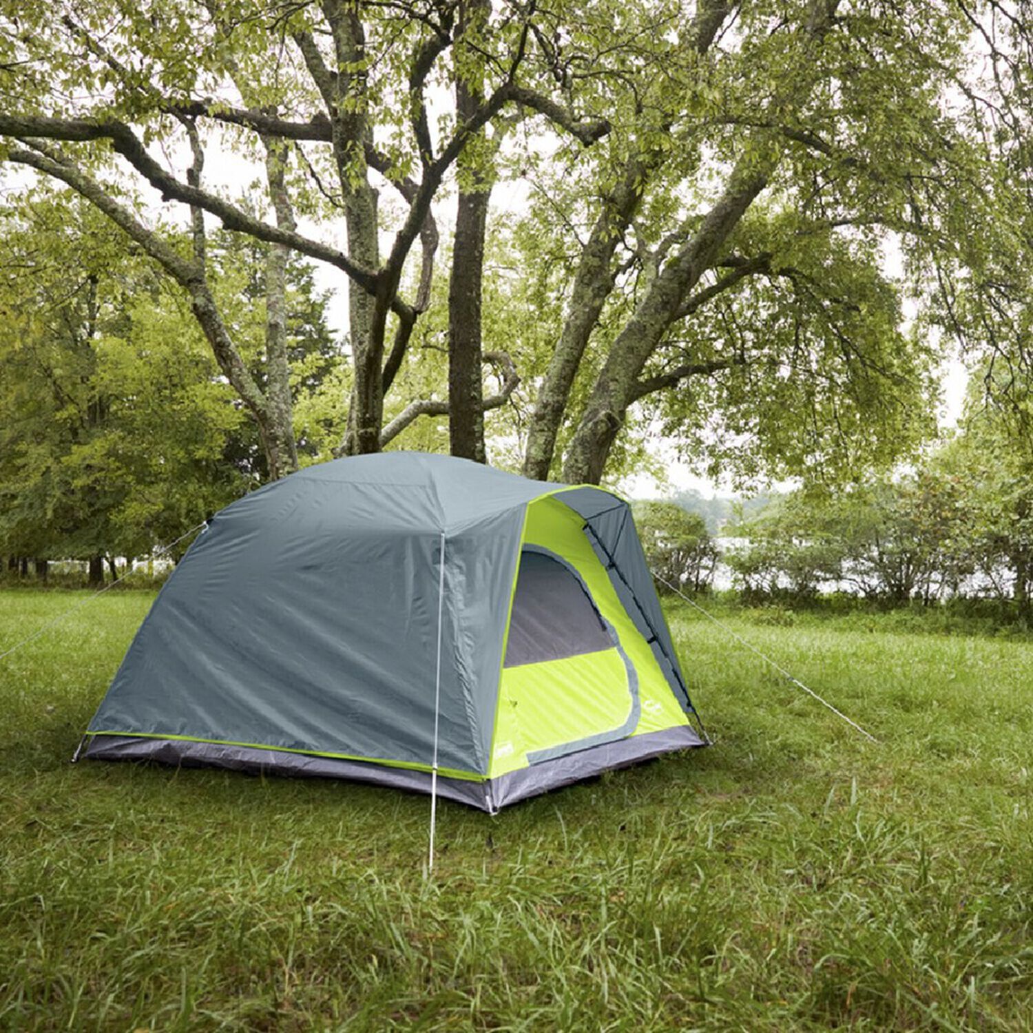 Carpa 4 Personas Coleman Amazonia image number 2.0