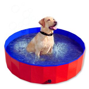 Piscina Bañera Portátil Plegable Perros Y Mascotas 80x20cm