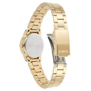 Reloj Casio Hombre Mtp-v001g-9budf Golden Edition Men