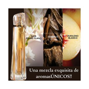 Perfume Expression 50ml Para Damas