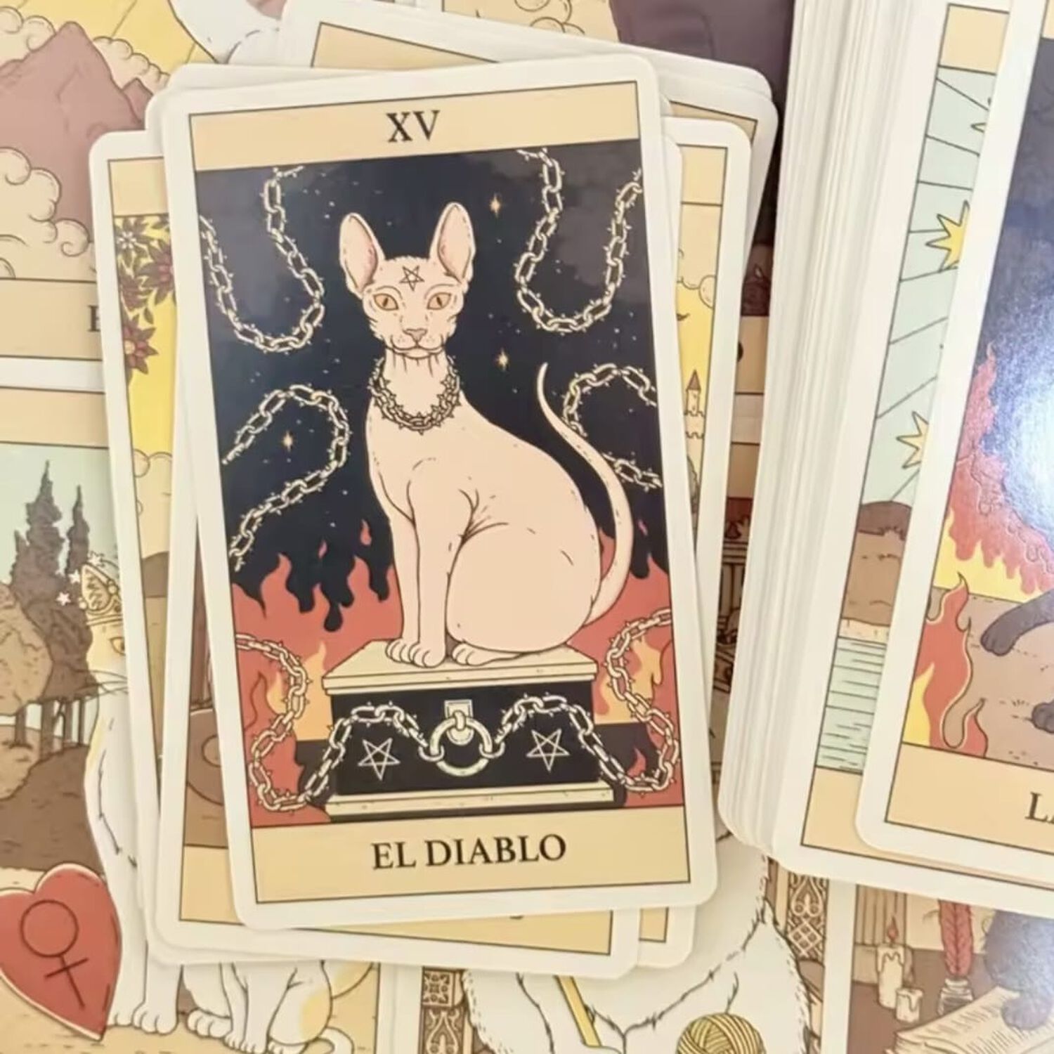 Tarot De Los Gatos 78 Cartas En Espanol image number 3.0