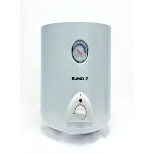 Termo El&eacute;ctrico Mural 30 Litros 1500 W