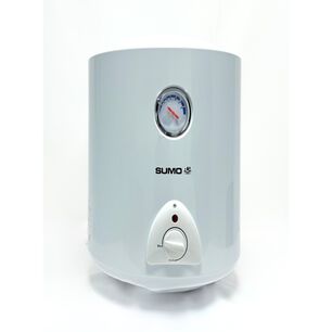 Termo El&eacute;ctrico Mural 30 Litros 1500 W