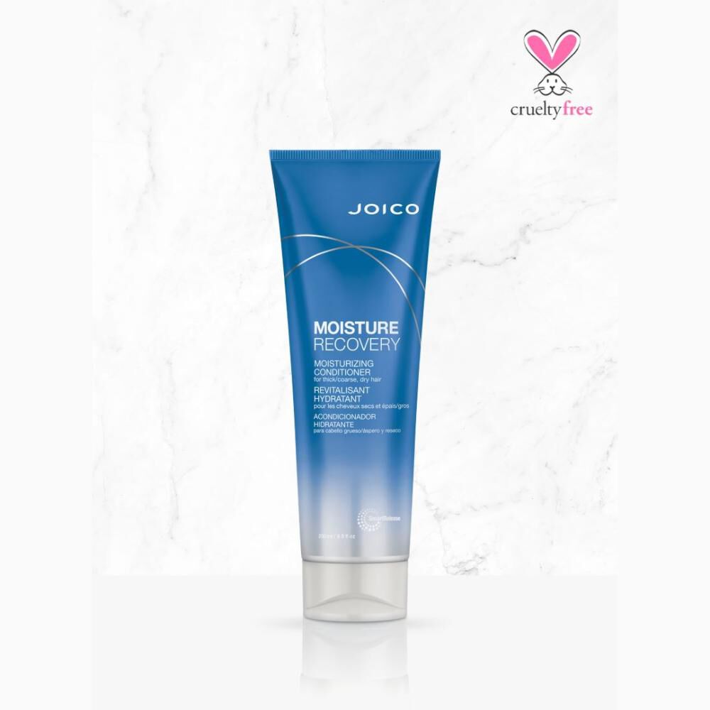 Acondicionador Moisture Recovery 250 ML Joico image number 4.0