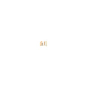 Rasasi Attar Al Boruzz Jazeebiyat Musk Tabriz Edp 50ml