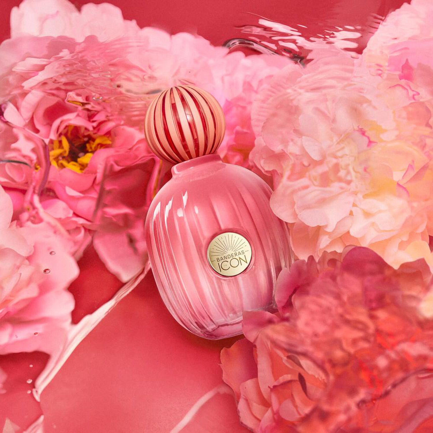 Perfume Mujer The Icon Splendid Banderas / 50 Ml / Eau De Parfum image number 2.0