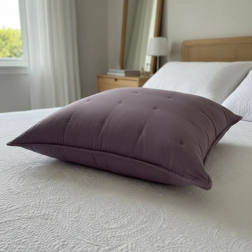 Set De 2 Cojines Bordados 6060 Cm Algod&oacute;n image number 2.0