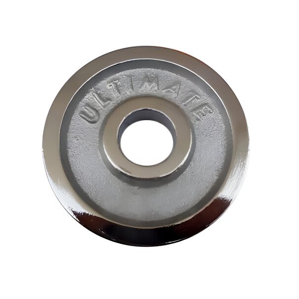 Disco Profesional Acero 15 Kg