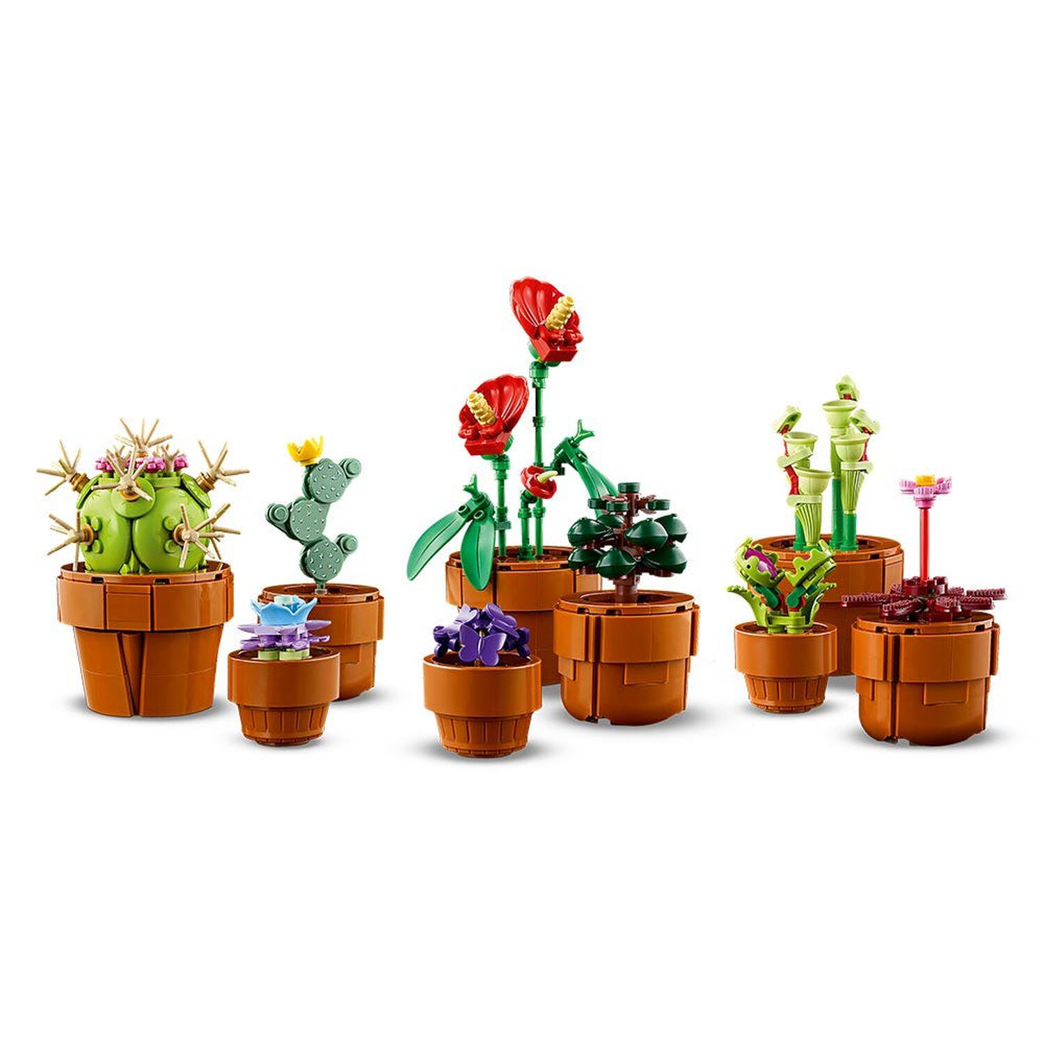 Lego Botanicals - Plantas Diminutas - 10329 image number 7.0