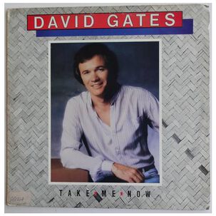 David Gates - Take Me Now | Vinilo Usado