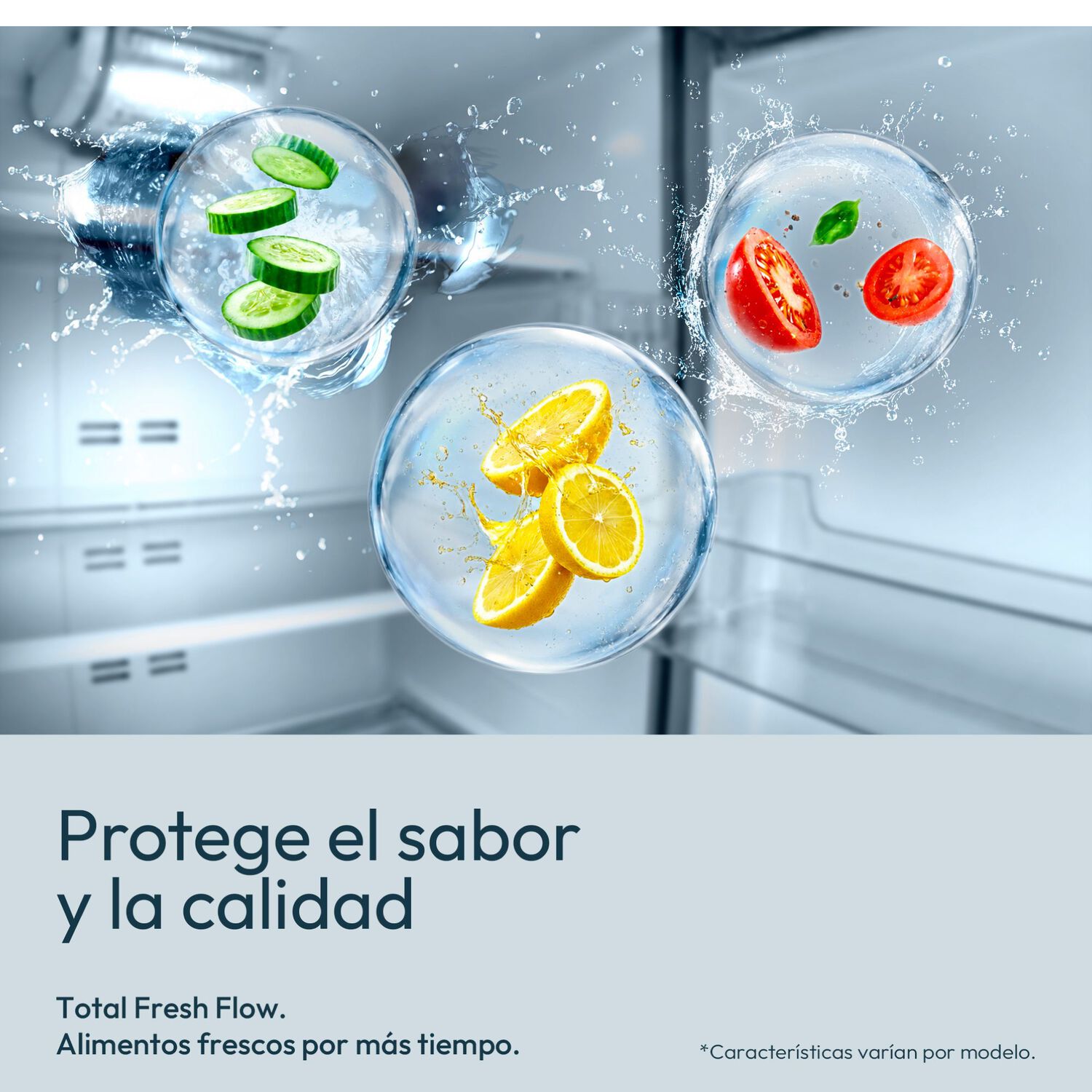 Refrigerador Top Freezer Mabe RMA300FXUC / No Frost / 297 Litros / F image number 7.0