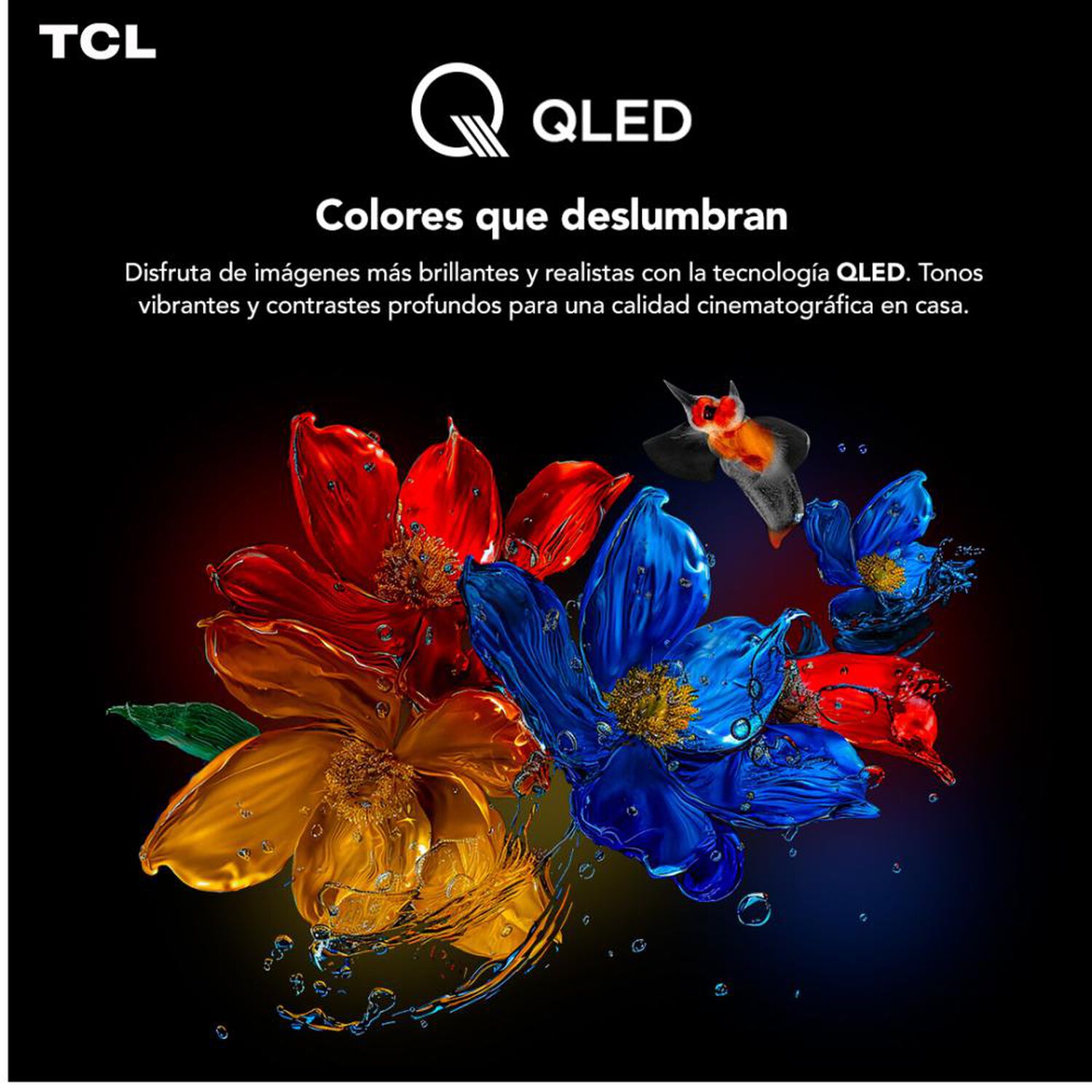 Qled 65" TCL T6D / Ultra HD 4K / Smart TV image number 2.0