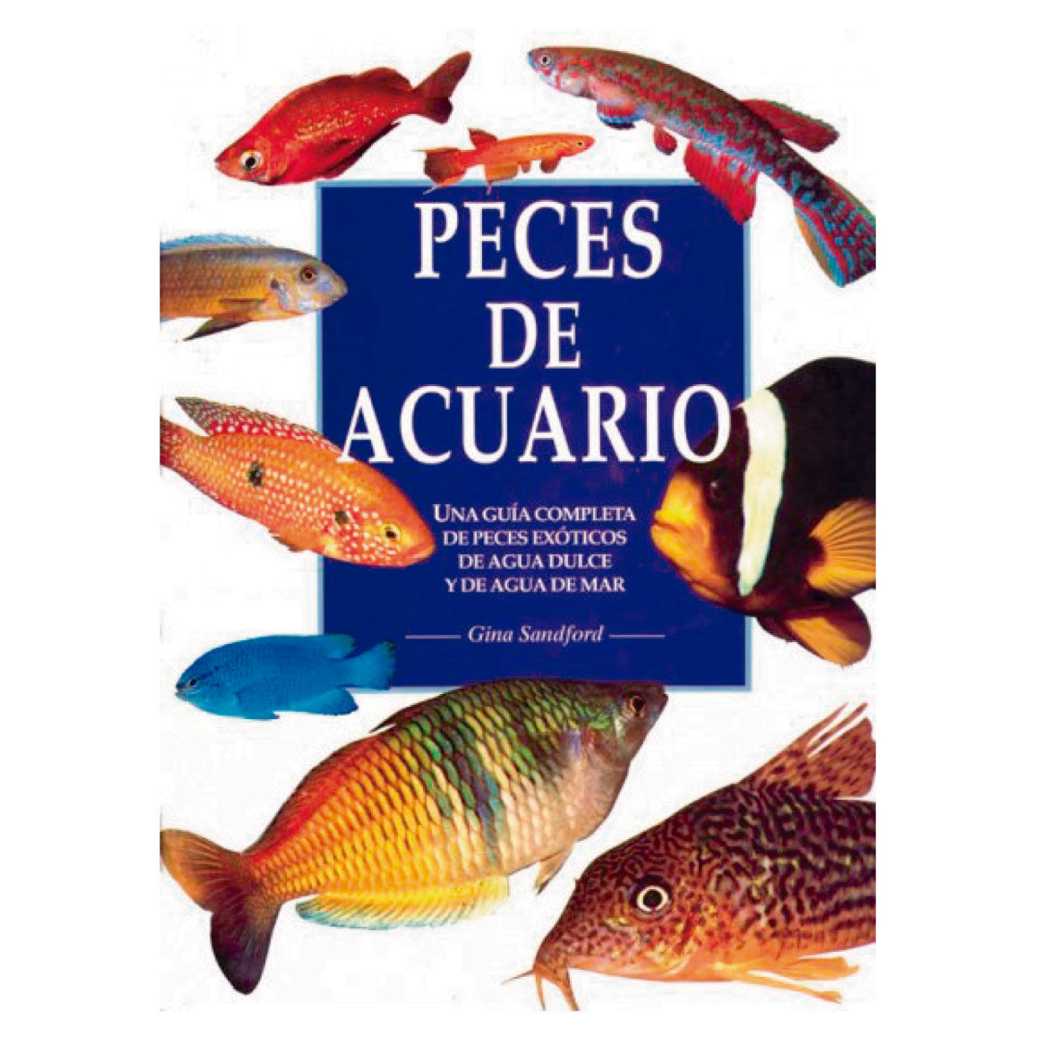Peces De Acuario image number 0.0