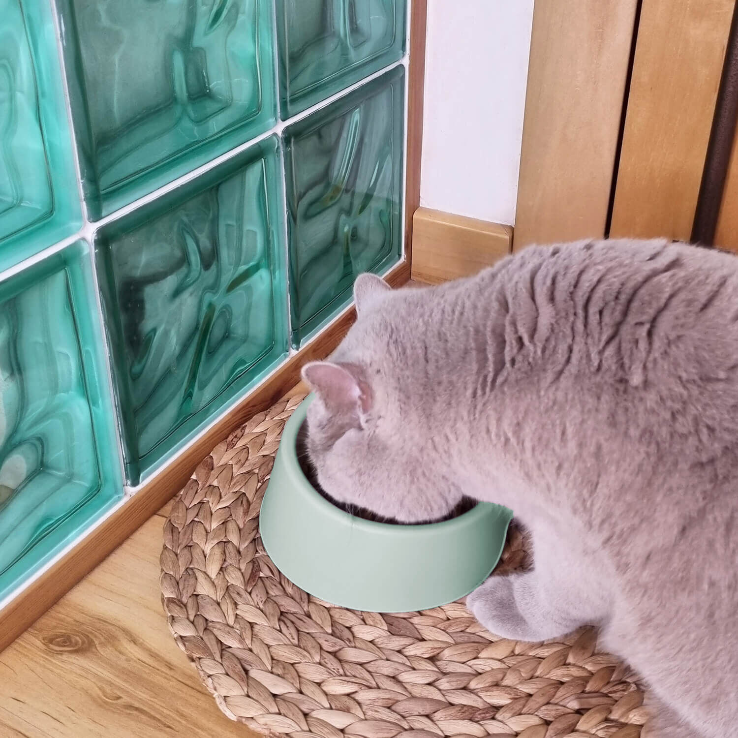 Plato Comedero Bebedero Para Mascota Menta 1 L Cool Pets image number 8.0