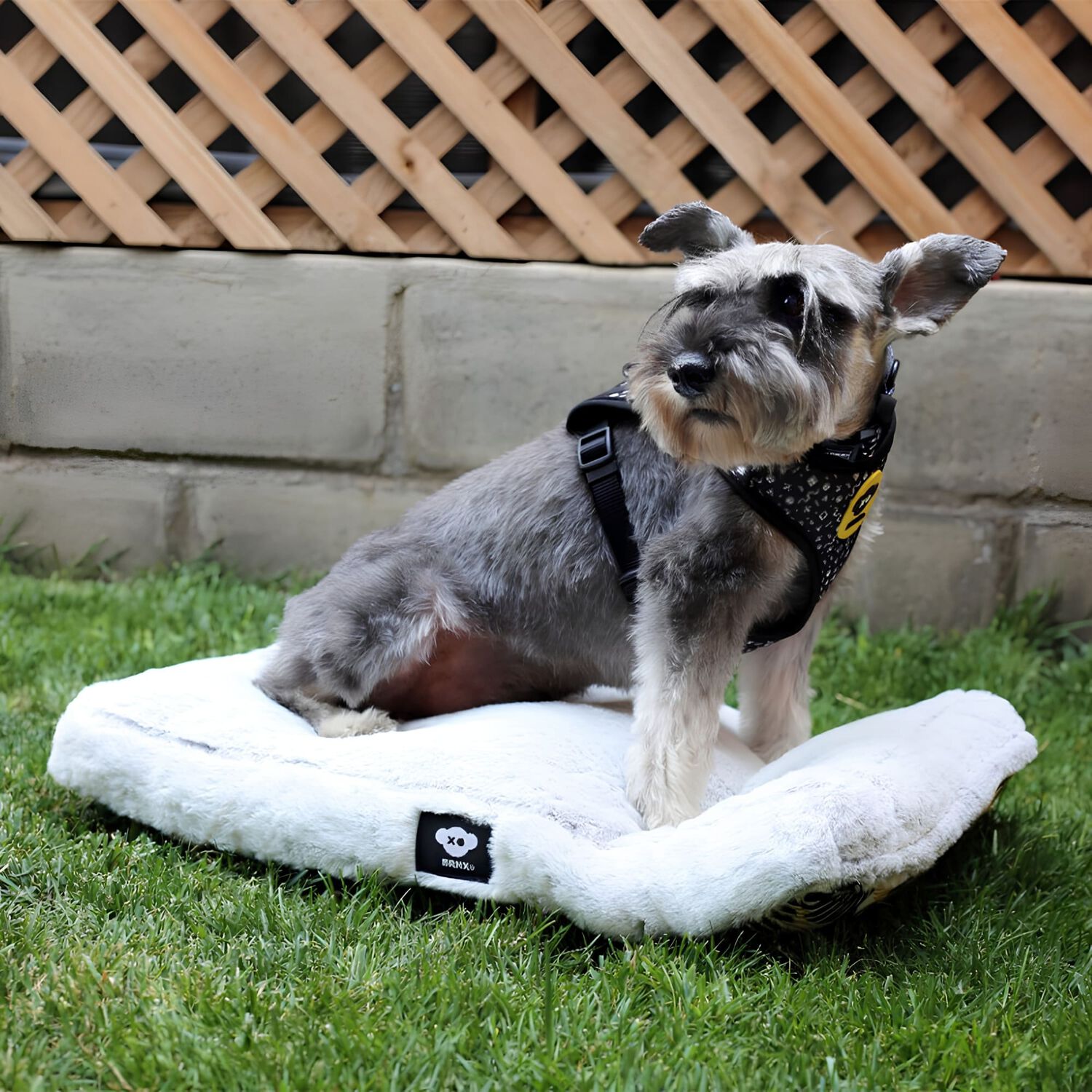 Colchon Cama Para Perro O Gato Anti-estr&eacute;s Lavable Brnx "xs" Invierno - Verano image number 0.0