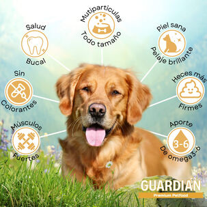 Alimento Para Perro Adulto Guardi&aacute;n 9kg
