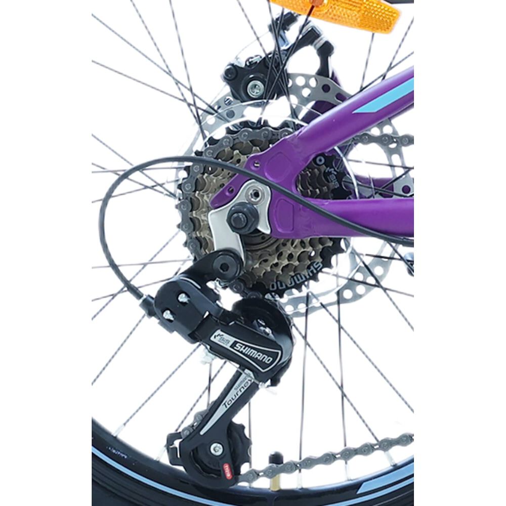 Bicicleta Totem Mtb Aro 20 Modelo Elise Morado image number 4.0