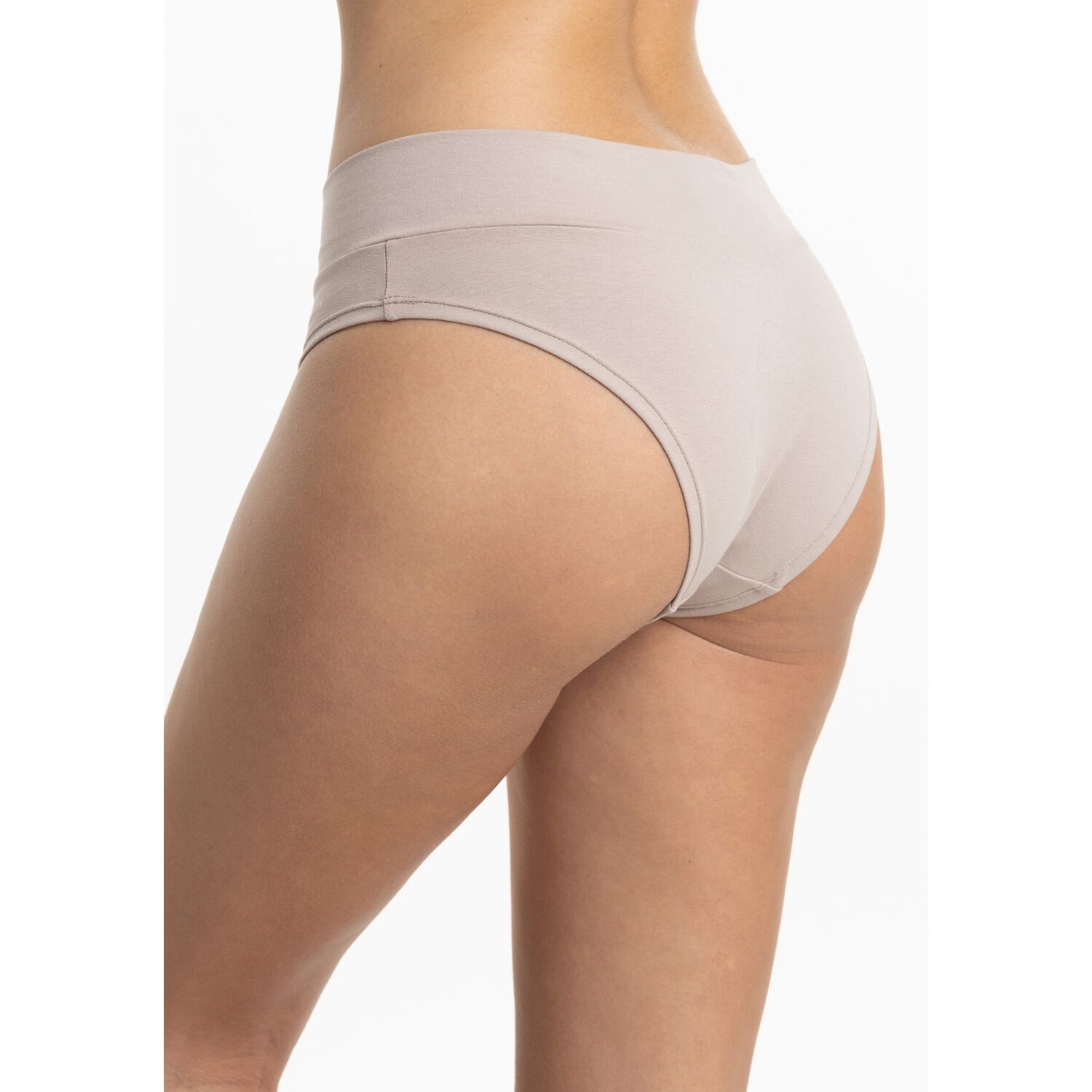 Pack 3 Pantaletas Algod&oacute;n Mujer Kayser P314.80n-caf image number 2.0