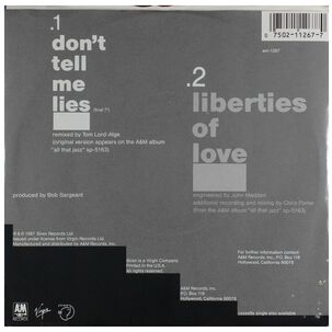 Breathe - Don't Tell Me Lies | 7" Single Usado