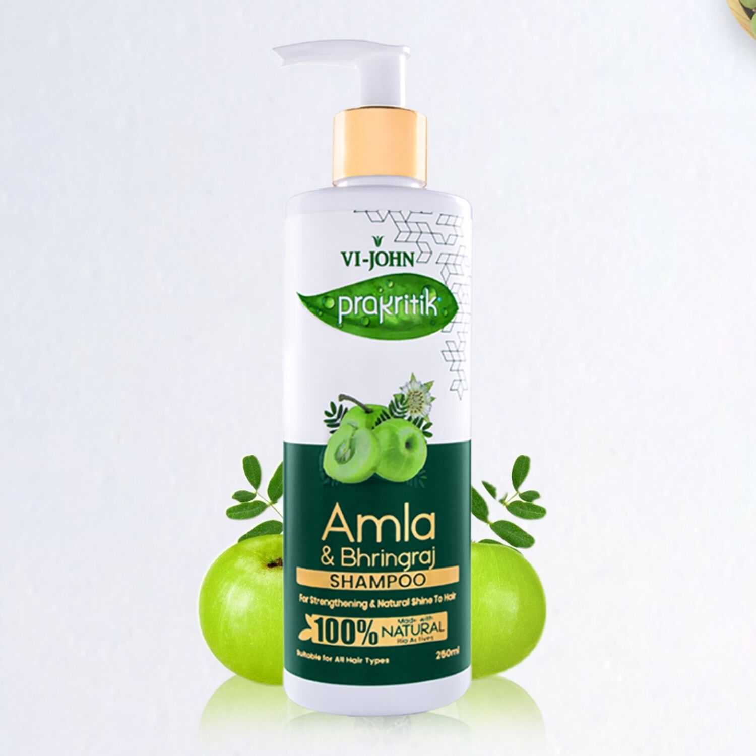 Prakritik Shampoo Amla Y Polvo Ayurv&eacute;dica 250 Ml image number 1.0