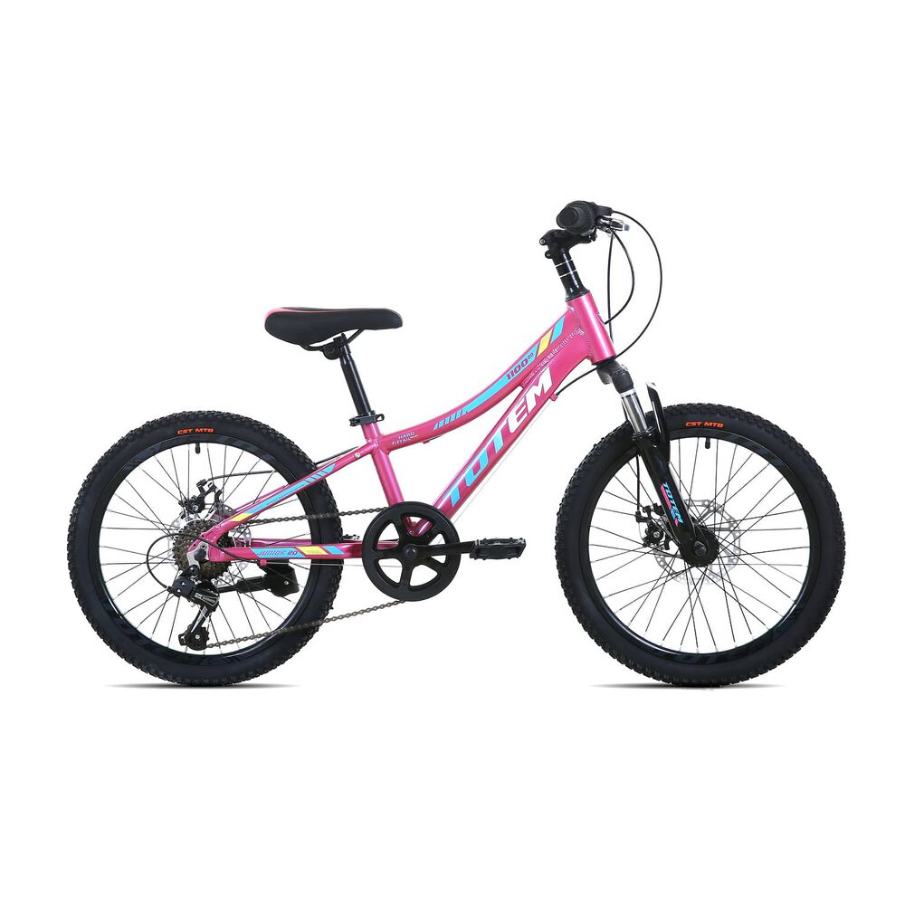 Bicicleta Totem Mtb Aro 20 Modelo 1100 Rosado image number 0.0