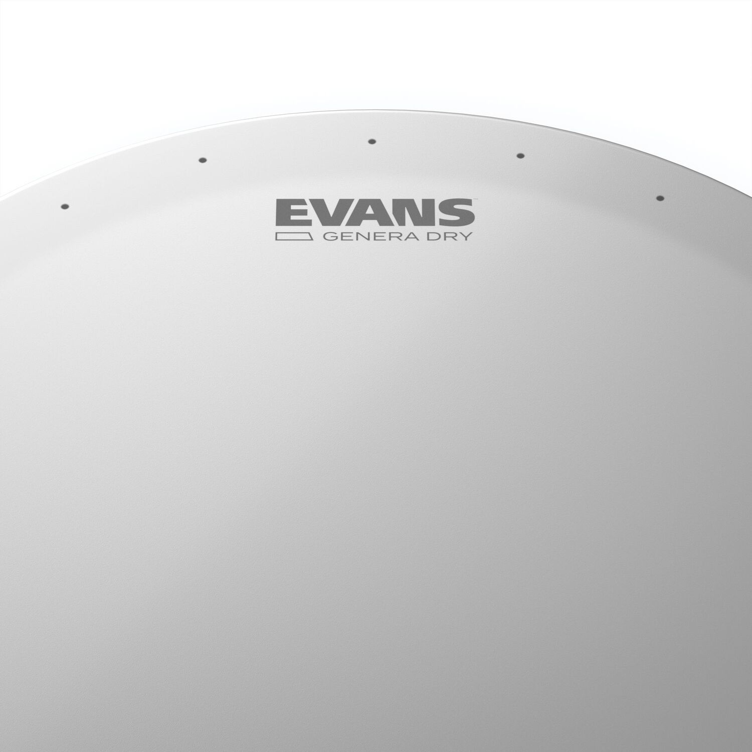 Parche 14&uml; Gen Dry Evans image number 1.0