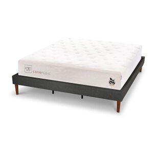Cama Europea Cic Cocopedic / King / Base Normal