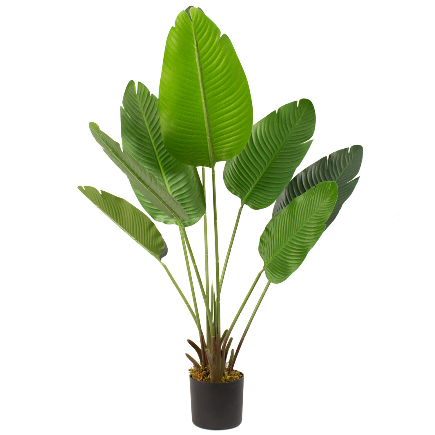 Planta Artificial Ave Del Paraiso 120 Cm 8 Hojas / Arbusto Real image number 0.0