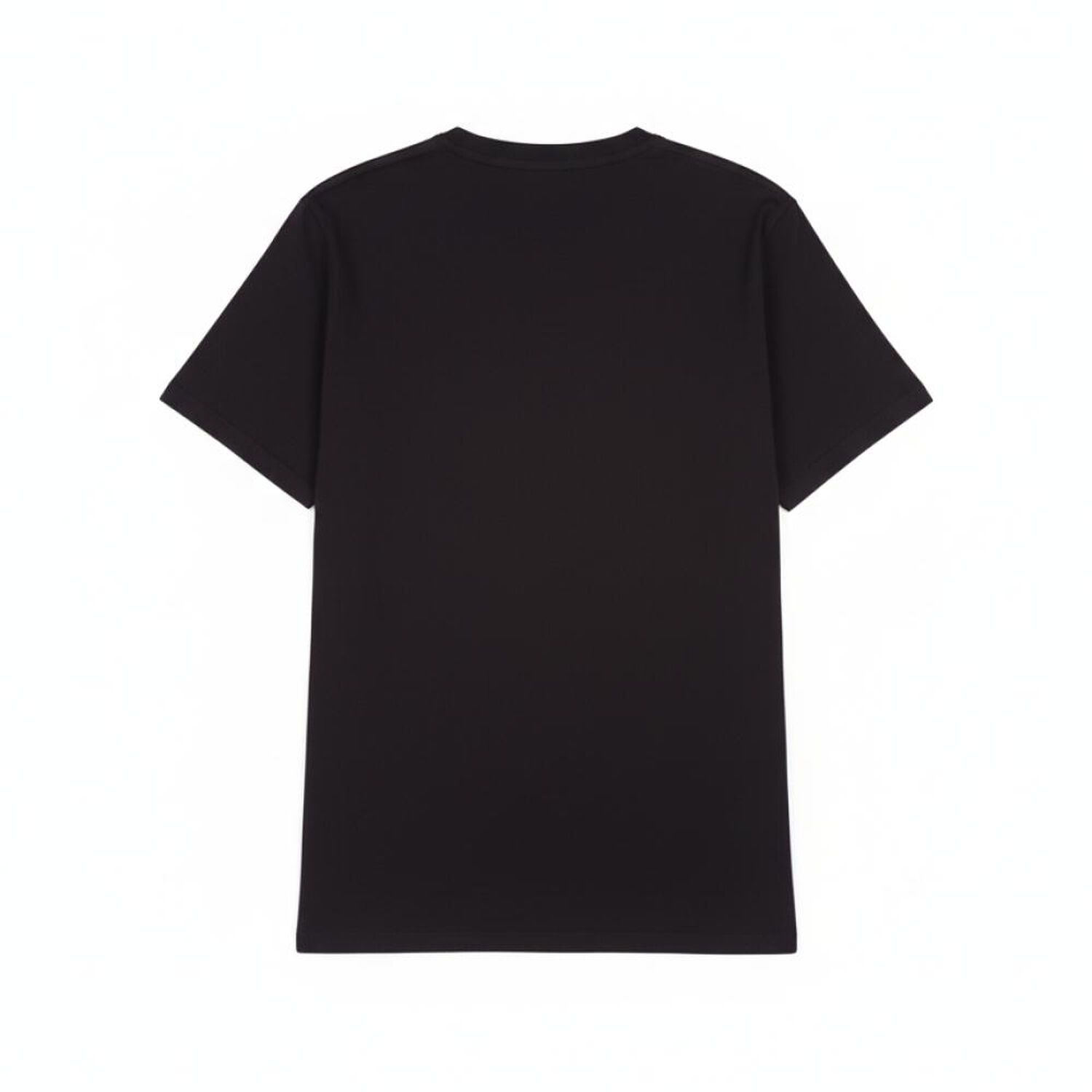 Polera Hombre Herald image number 1.0