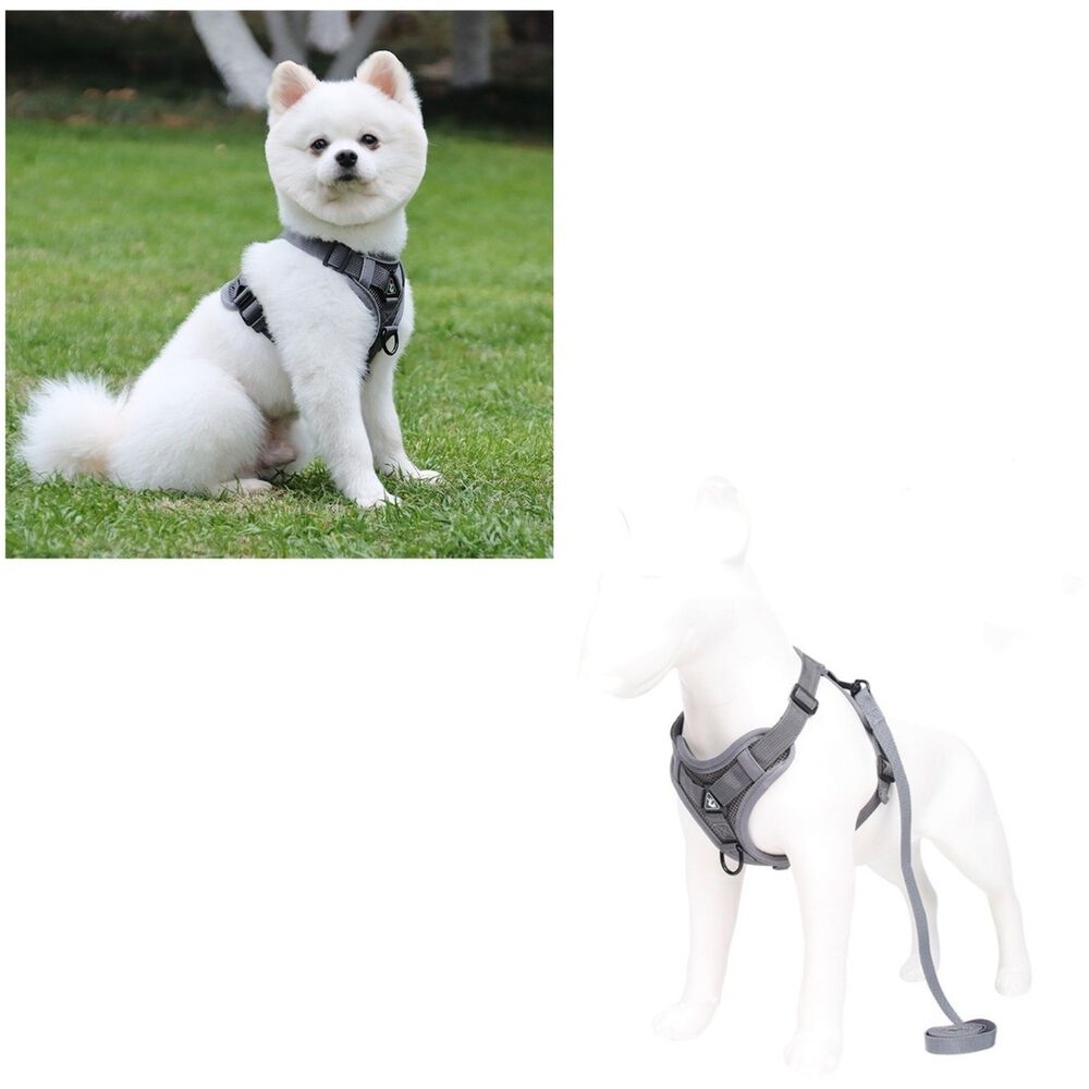 Arn&eacute;s Para Perro Ajustable Con Correa Reflectantes L image number 1.0