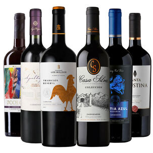 6 Vinos Mix Plus Reserva Carmenere