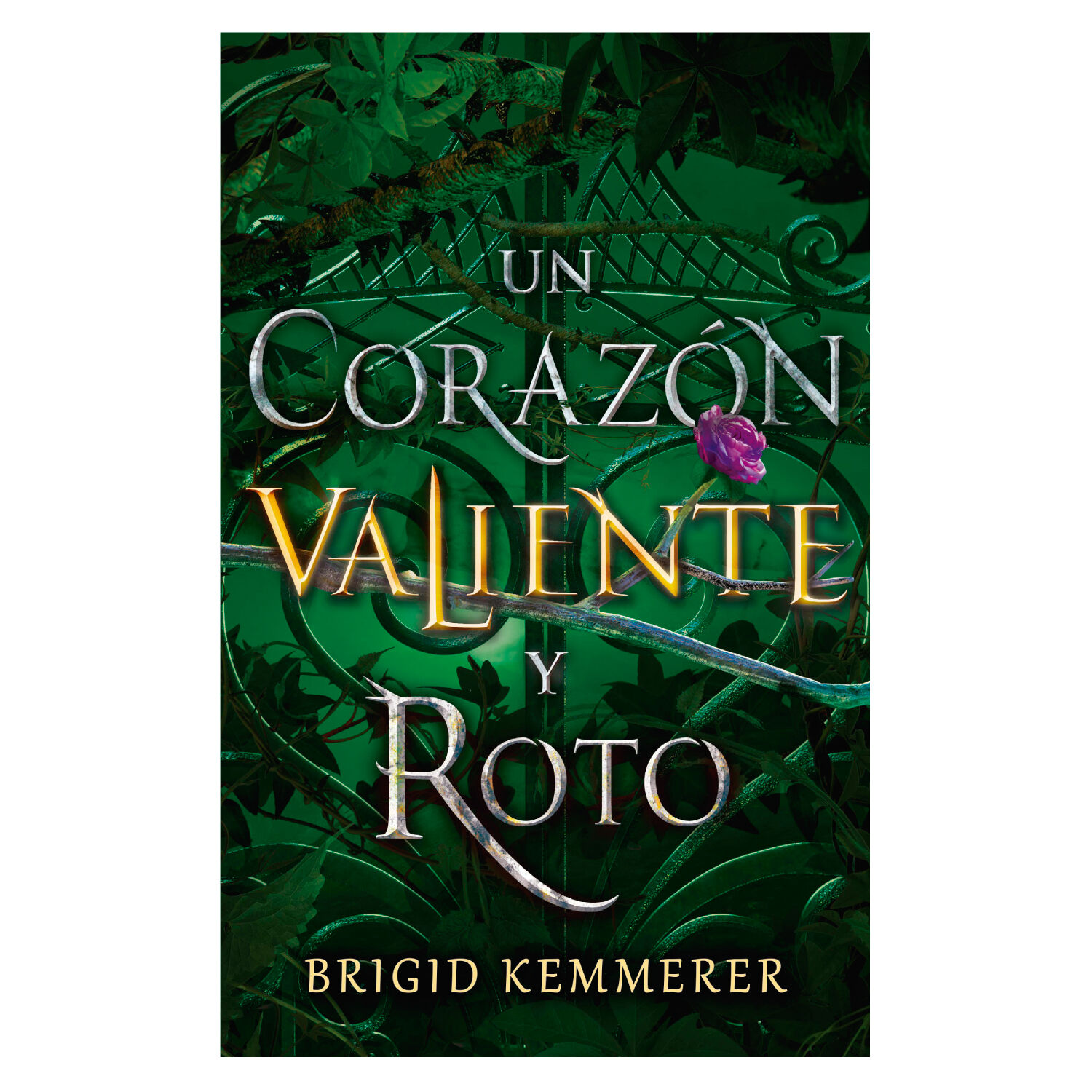 Un Coraz&oacute;n Valiente Y Roto image number 0.0