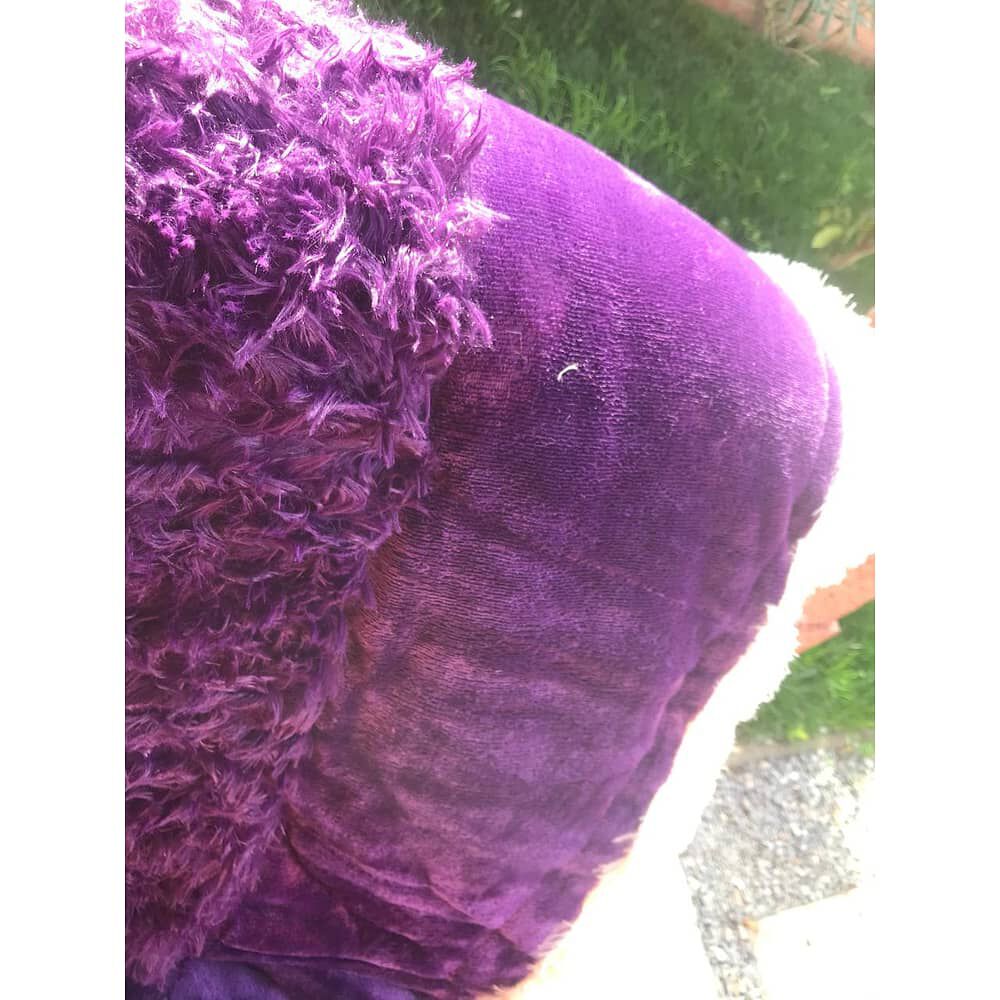 Cubrecamas Combinado Polar/chiporro 2 Plazas - Morado image number 2.0