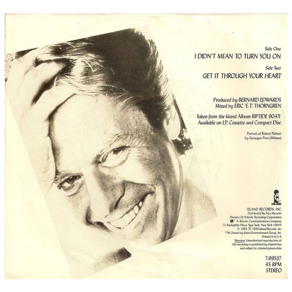 Robert Palmer - I Didn't Mean To Turn You On | 7" Single Vinilo Usado image number 1.0