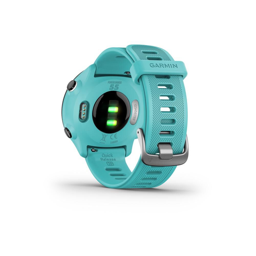Smartwatch Garmin Forerunner 55 / 1.04" image number 4.0