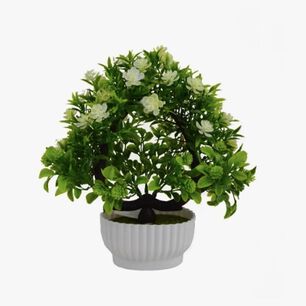 Planta Bons&aacute;i Camelia De Espuma Artificial Macetero 25cm