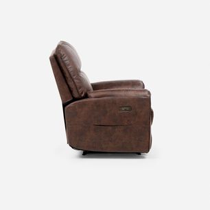 Bergere&nbsp;rosen Tolosa&nbsp;te Electrico Camel