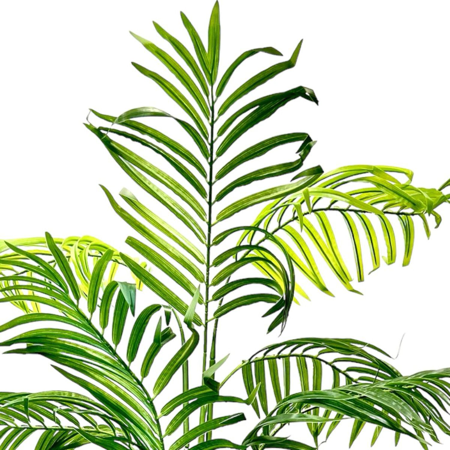 Planta Artificial Palmera Premium 120 Cm. / 10 Hojas image number 2.0