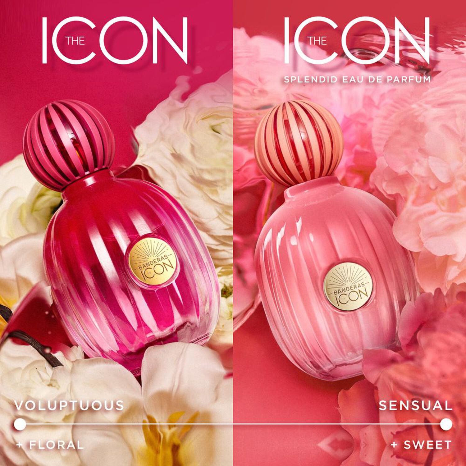Perfume Mujer The Icon Antonio Bandera / 50 Ml / Eau De Parfum image number 3.0