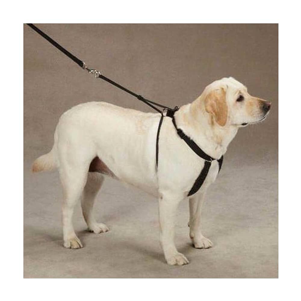 Arn&eacute;s Anti-pull M Paseo Seguridad Mascotas Perro Mascan image number 5.0