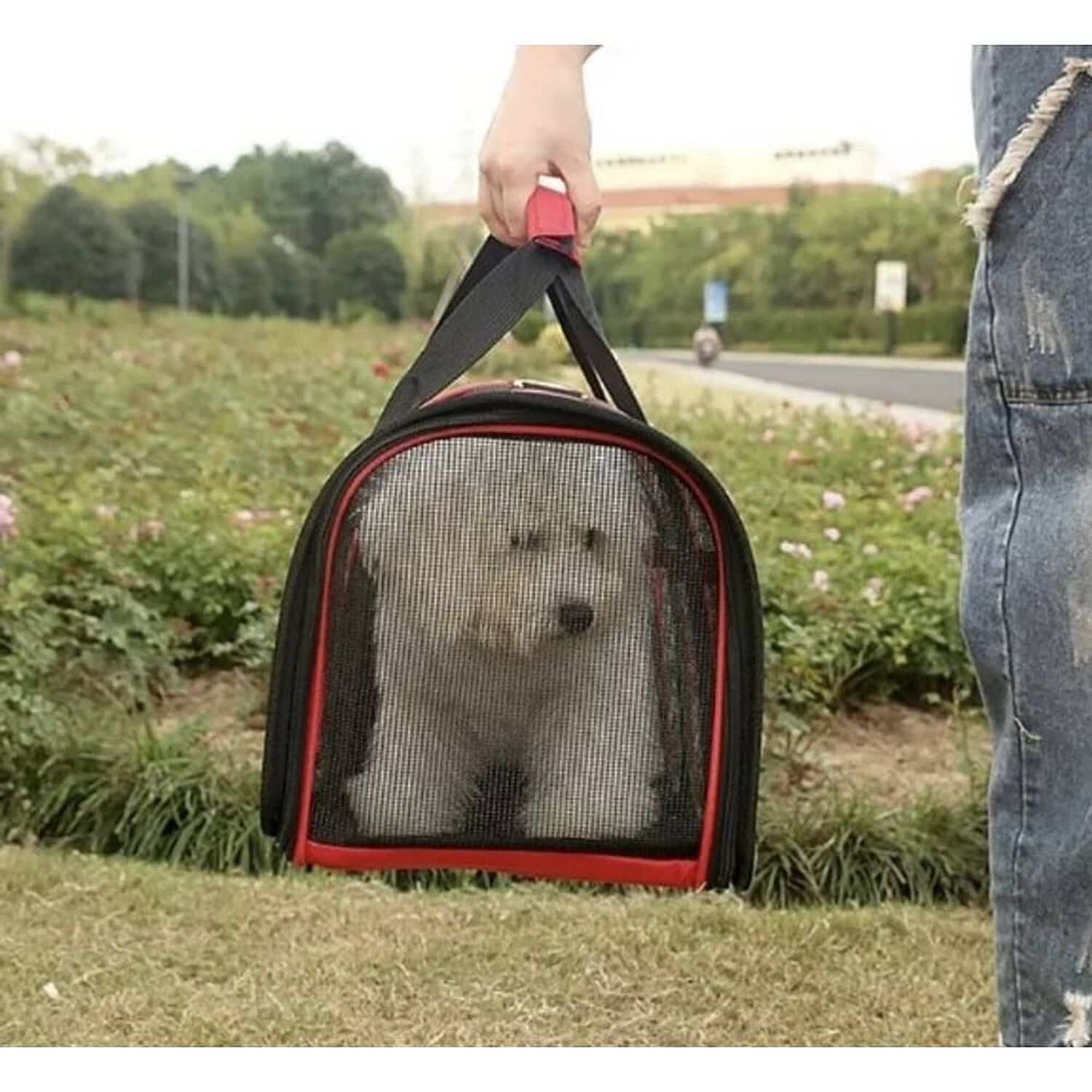 Bolso Transporte Mascotas Talla S Peque&ntilde;o Malla Verde image number 3.0