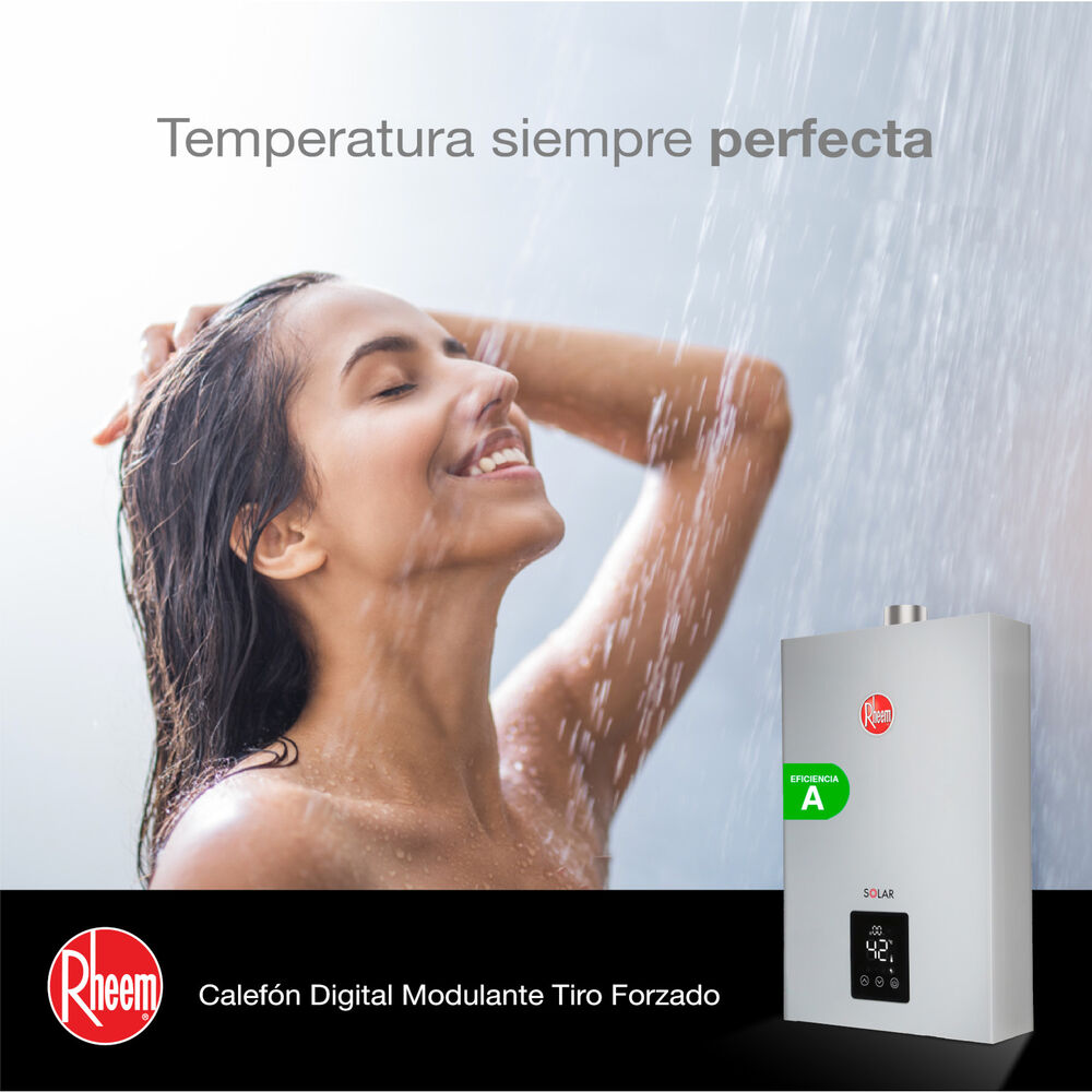 Pack Calefont Rheem 14l. T.forzado G.natural + Kit Ductos image number 8.0