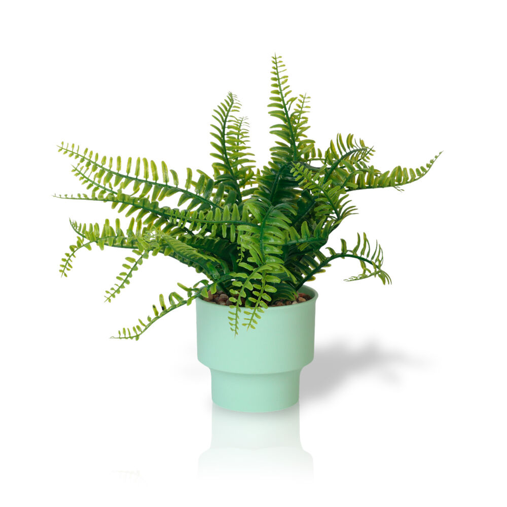 Planta Artificial Helecho 22x10 Cm image number 0.0